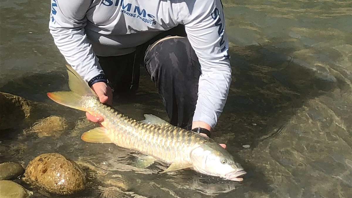 Trishuli River Fishing